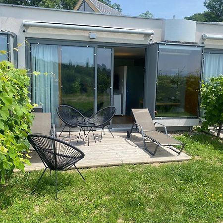 *Brandnew* Modernes Apartment In Den Weinbergen Mit Pool Und Sauna Шпильфельд Экстерьер фото